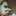 ねこ好きのおさる
