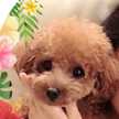 yukierest