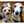 ラビリクママ