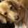 shiho_mmm