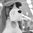 ゆでたま号