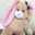 らん໒꒱
