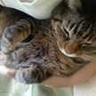 ＫＩＴＩＮＯＳＵＫＥ