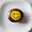 smile☆775