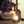 パトサクサクラ