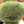クックチャソ