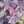 hirotyaa