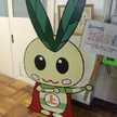 nashi_f