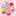 りおっコ りおっコ