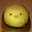 ここしーたけん