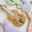 あぽろきなこもち