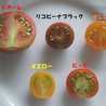 miyupi