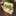 みあちょん