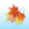 Δ紅葉