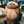 mignon_osc
