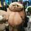 mignon_osc