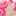 桜とゆず 桜とゆず
