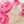 桜とゆず