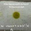 ※Chamiちゃみ※