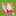 かなぢやん かなぢやん