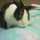 南のうさぎ 南のうさぎ