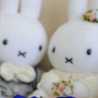 いっふぃ