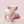pink piggy