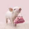 pink piggy