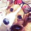 DJROKI