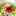 りんた0325