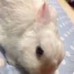 おだしだし