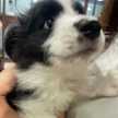 sally‎☻