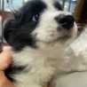 sally‎☻