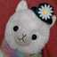 nyaoko♪