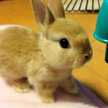 mao♡♡