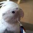 クックGM7AWY☆