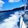 diveisland