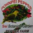 seipepper