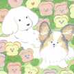 ふーちゃん