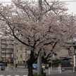 KITA☆KORE