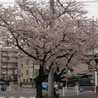 KITA☆KORE
