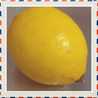 hamuk0