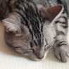 。☆えりちゃん☆。 。☆えりちゃん☆。