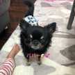 ♡coco。♡