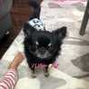 ♡coco。♡