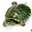 クックsmileAB