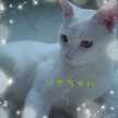 myu0620