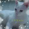 myu0620