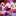 スゥミん スゥミん