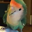 ジャックック24